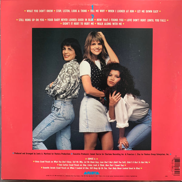 Exposé - What You Don't Know LP Vinyl - Used – Borderline MUSIC