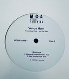 Venus Hum 12”
