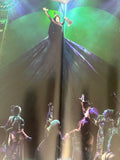 Wicked Broadway tour book Idina Menzel Kristen Chenoweth