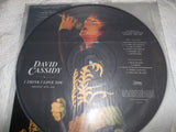 David Cassidy - I Think I Love You Greatest Hits LIVE (Picture Disc LP Vinyl) New