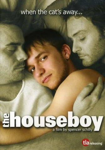 The Houseboy  (LGBTQ+ Film) DVD - Used