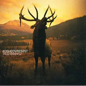 Kosheen - Resist CD - Used