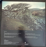 Saint Etienne Who Do You Think You Are 2x12" Single LP Vinyl - Used