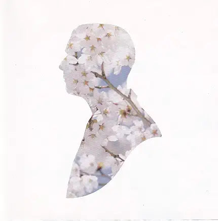 Pet Shop Boys -- MIRACLES  (UK CD single)  Used
