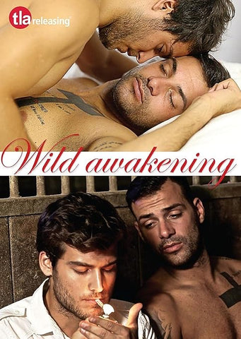 Wild Awakening (LGBTQ+ Film) in Spanish DVD - Used