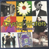 Crystal Waters  what I need 12” single LP vinyl - Used