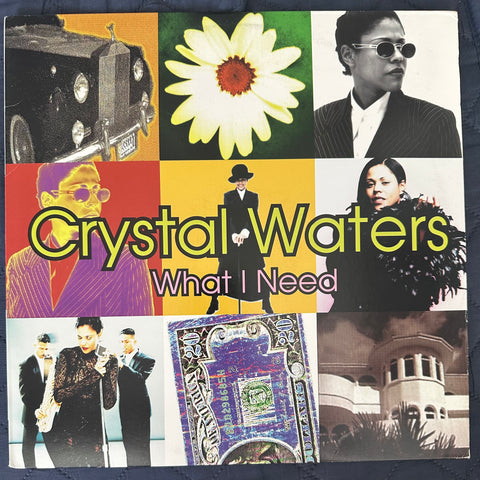 Crystal Waters  what I need 12” single LP vinyl - Used