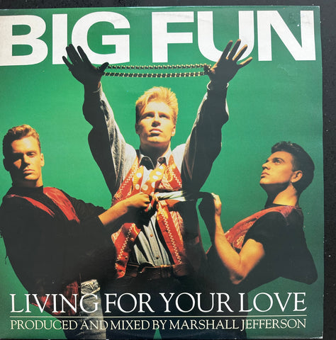 Big fun- Living For Your Love (IMPORT 12" Single) LP Vinyl - used