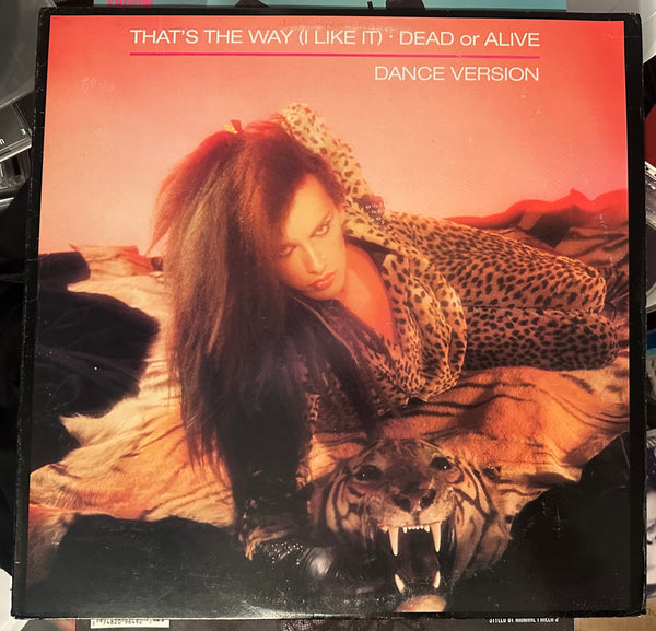 Dead Or Alive - That's The Way (I Like It) 12" Single - LP Vinyl - Used