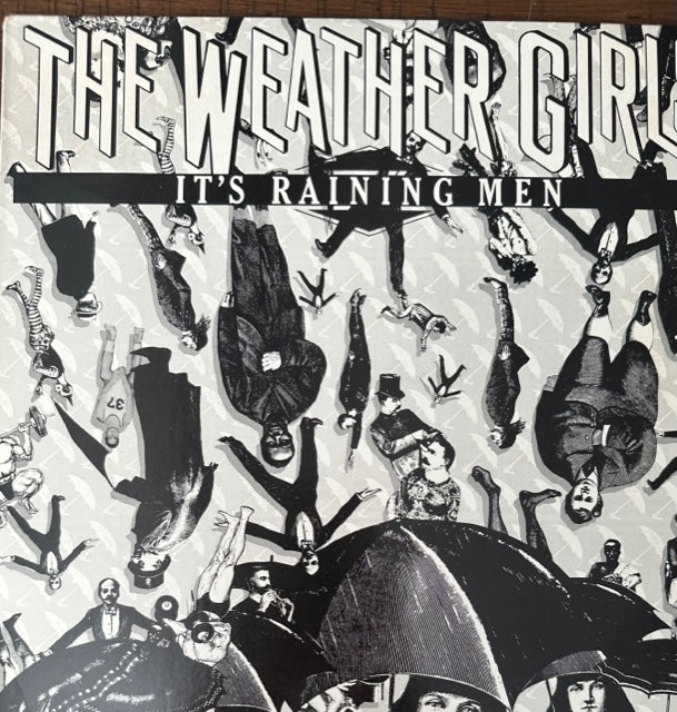 The Weather Girls - It's Raining Men - 12