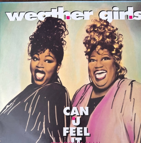 The Weather Girls - Can U Feel It (dee ooh la la) 12" LP IMPORT Single - Used