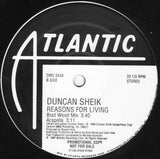 Duncan Sheik – Reasons For Living 12" Promotional remix LP vinyl - Used