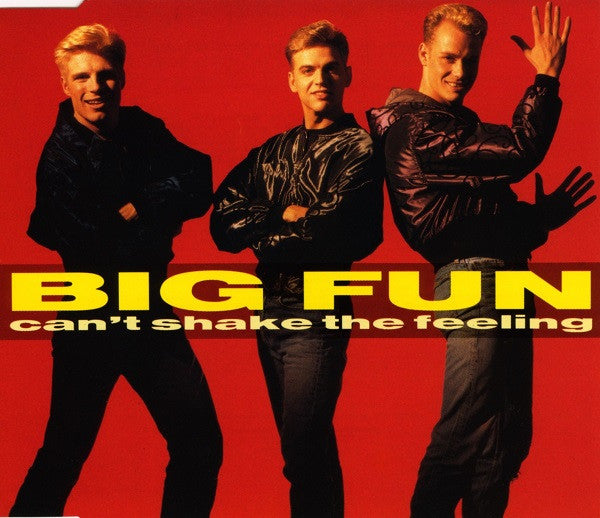 Big Fun - Can't Shake The Feeling / I Feel The Earth Move (Import CD single) Used