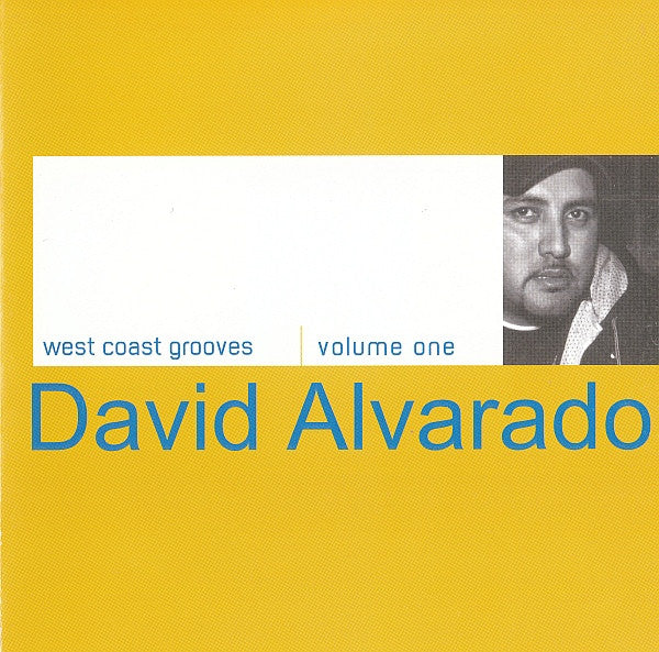 United DJ of America vol. 15 mixed by David Alvarado (Various) CD - Used