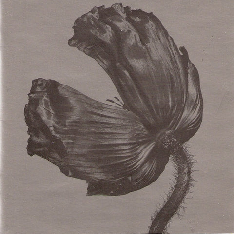 Pet Shop Boys - RELEASE CD - Used