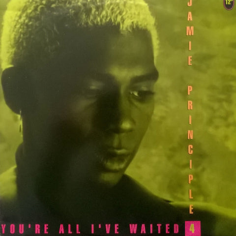 Jaime Principle - You're All I've Waited 4 (The Edits) --- US CD single - Used