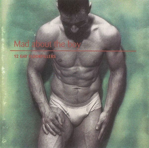 Mad About The Boy - 12 Gay Floorfillers  (Various) Import CD - Used