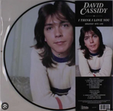 David Cassidy - I Think I Love You Greatest Hits LIVE (Picture Disc LP Vinyl) New