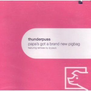 Thunderpuss - Papa's Got A Brand New Pigbag (US Maxi remix) CD single - Used