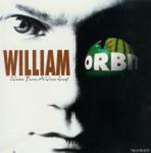 William Orbit - Water From a Vine Leaf [CD single] - used