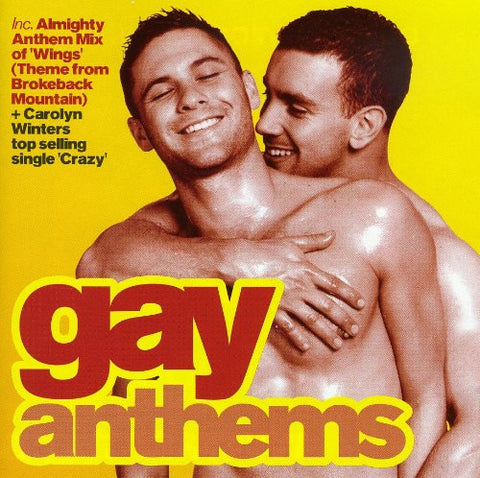 Almighty Gay Anthems (2CD)