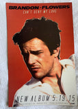 Brandon Flowers - The Desired Effect 2 promo posters