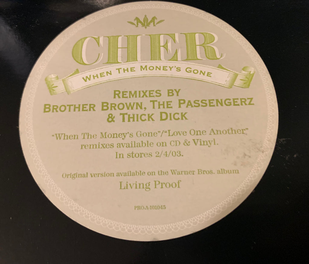 Cher - When The Money's Gone 2xLP Promotional vinyl - Remixes - Used –  Borderline MUSIC