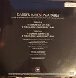 Darren Hayes - Insatiable 12" remix LP Promo Vinyl - Used
