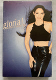 Gloria Estefan - Heaven's What I Feel  (Cassette Single) Used