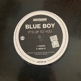 BLUE BOY - It's Up To You UK 12" Used 1996 LP Vinyl