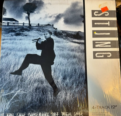 Sting - If You Love Someone Set Them Free   12" LP Vinyl single - Used