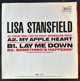 Lisa Stansfield -  What Did I Do To You ? (Import) 12" single LP Vinyl - Used