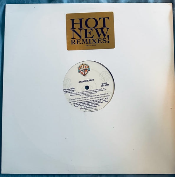 Jasmine Guy - Don't Want Money (PROMO 12" Single) LP Vinyl - Used