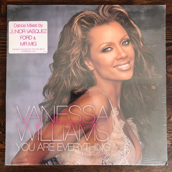 Vanessa Williams ‎- You Are Everything - LP Vinyl - NEW