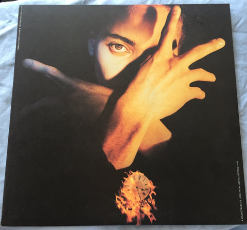 Terence Trent D' Arby - Neither Fish Nor Flesh LP VINYL - Used VG++