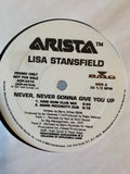 Lisa Stansfield - Never, Never Gonna Give You Up 12" (The CLUB Mixes)   2xLP VINYL - Used