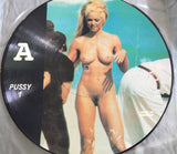 Madonna - Sex Book 12" LP Vinyl picture disc (Used)
