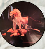 Madonna 90's Interview Picture Disc w/ sleeve -Import  LP VINYL