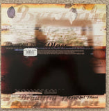 Paul Van Dyk - 12" LP Vinyl "Beautiful Place" -