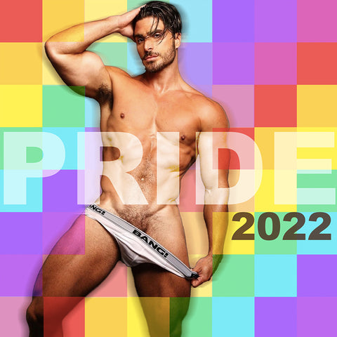 Pride 2022 (Various Artist) Continuously Mixed  (DJ Series) CD