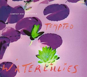 Waterlillies - Tempted (REMIX CD single) Used