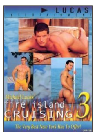 Fire Island Cruising 3 DVD - Used