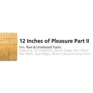 12 Inches Of Pleasure Part II (PROMO CD)