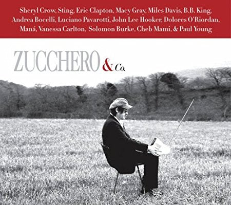 Zucchero & Co. (ft: Sheryl Crow, Paul Young, Sting, Vanessa Carton ++)  - Used CD